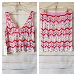 TORN by Ronny Kobo Knitted Two Piece Zig-Zag Mini Skirt/Top Set